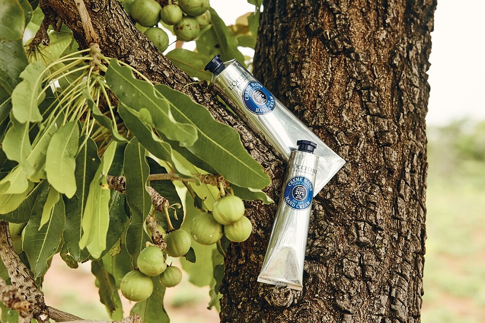 L&rsquo;OCCITANE歐舒丹乳油木護手霜。