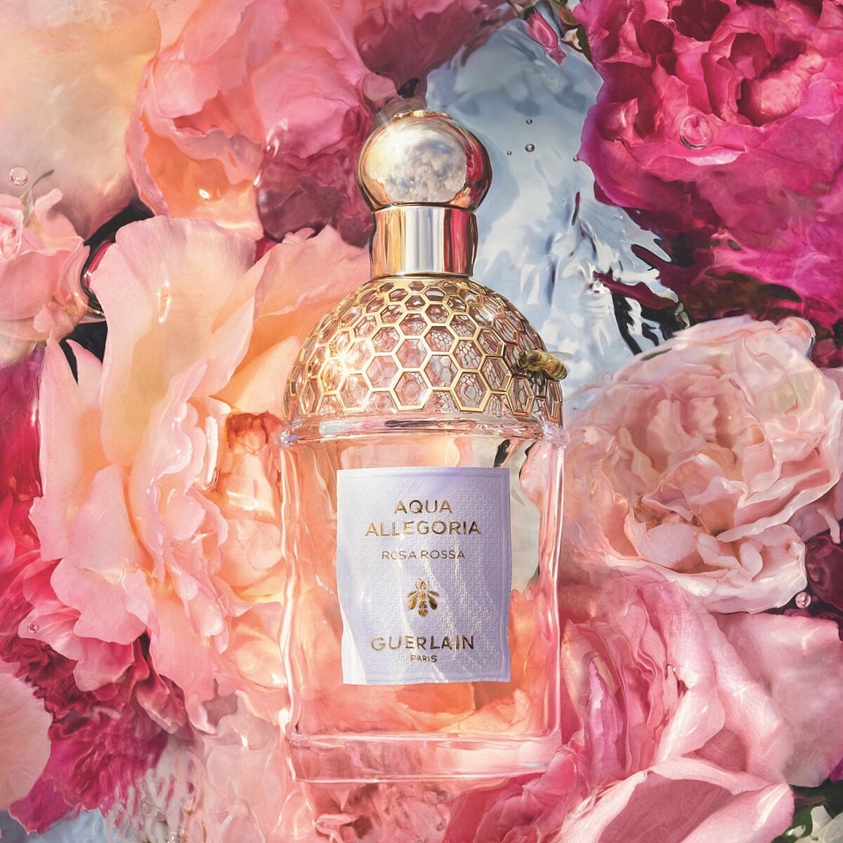 嬌蘭花草水語晨霧玫瑰淡香水30ml，NT2,650(官網限定)、75ml，NT3,950、100ml，NT5,400、200ml補充瓶 ，NT6,500