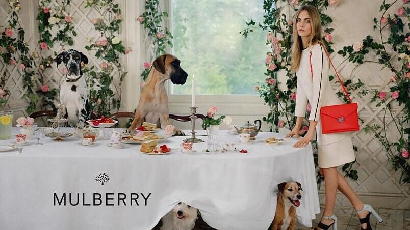 超可愛毛孩子來參一腳 Cara Delevingne再次俏皮登上Mulberry全新廣告