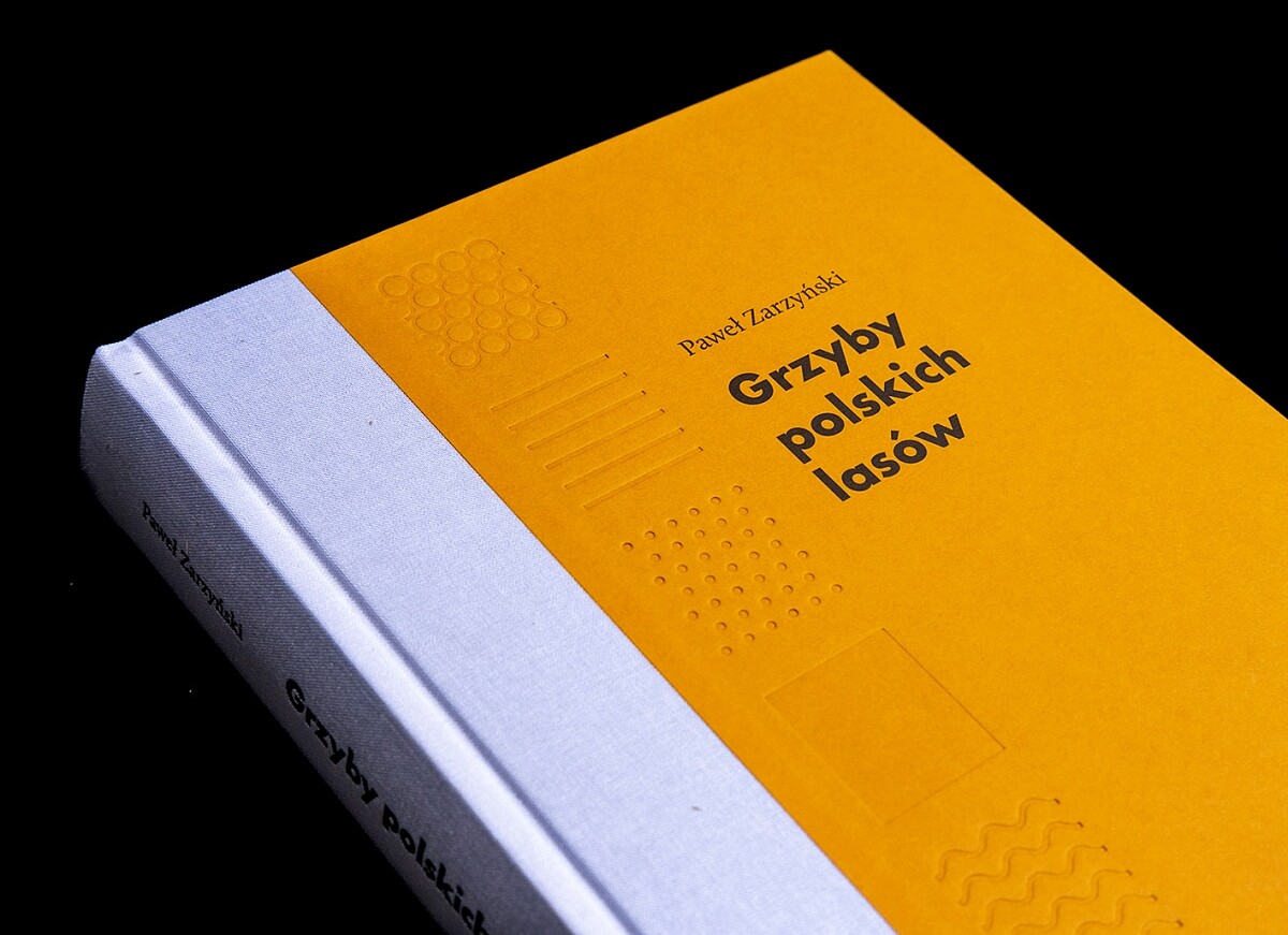 《避難所，跨物種城市部落》這本書在圖形概念握度特別細膩，流動性的佈局引導讀者瀏覽複雜的內容，使用襯線的字體增加可讀性。（攝影：Circle / 王蓓恩）