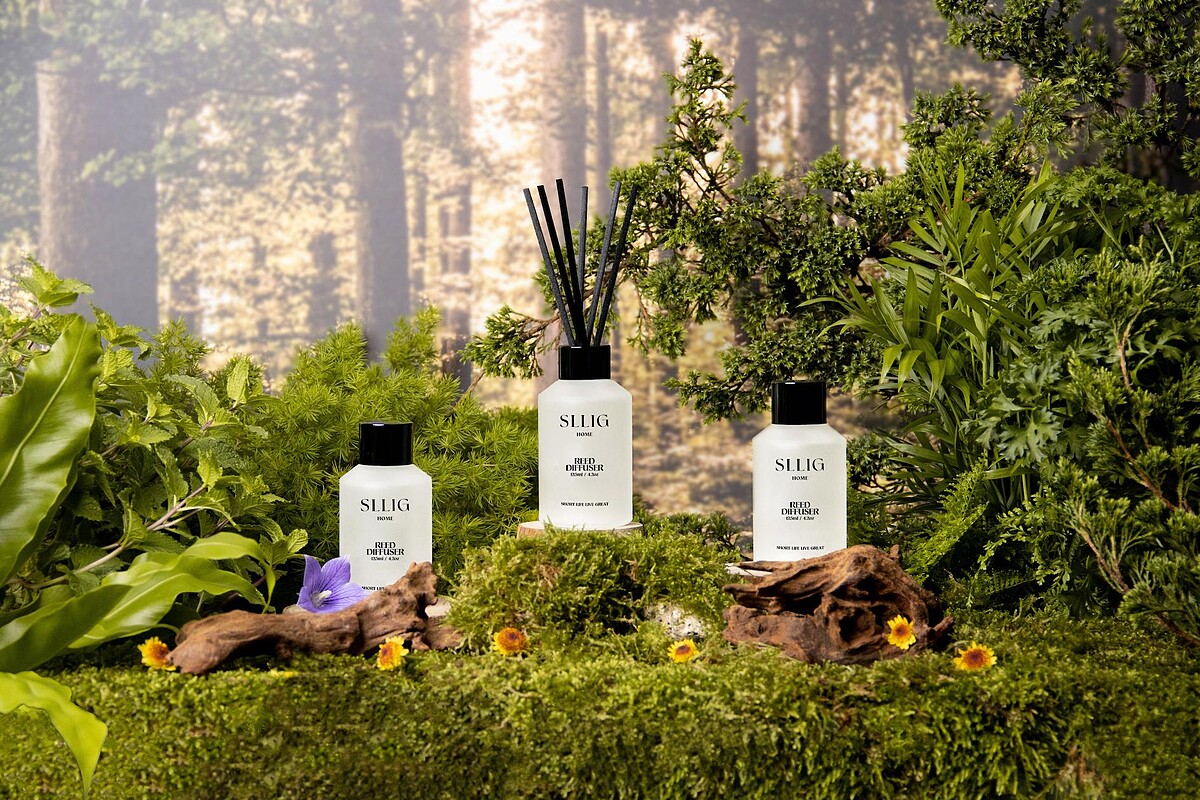 前味：依蘭、佛手柑、絲柏 中調：鳶尾花、橙花、薄荷 後調：白麝香、雪松木