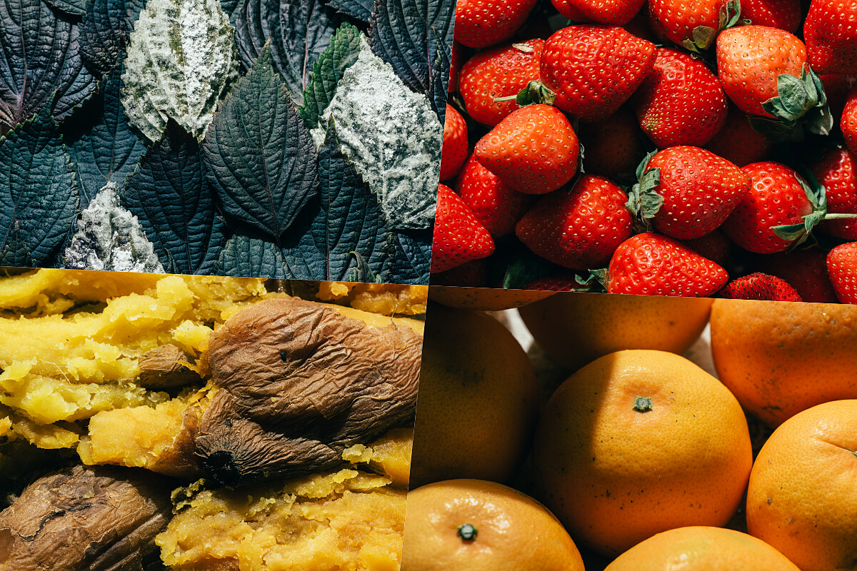 栗林裏將會把創造「台灣百色」做為目標。