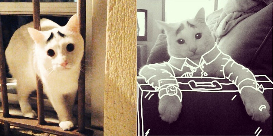  Photo/ instagram.com/samhaseyebrows