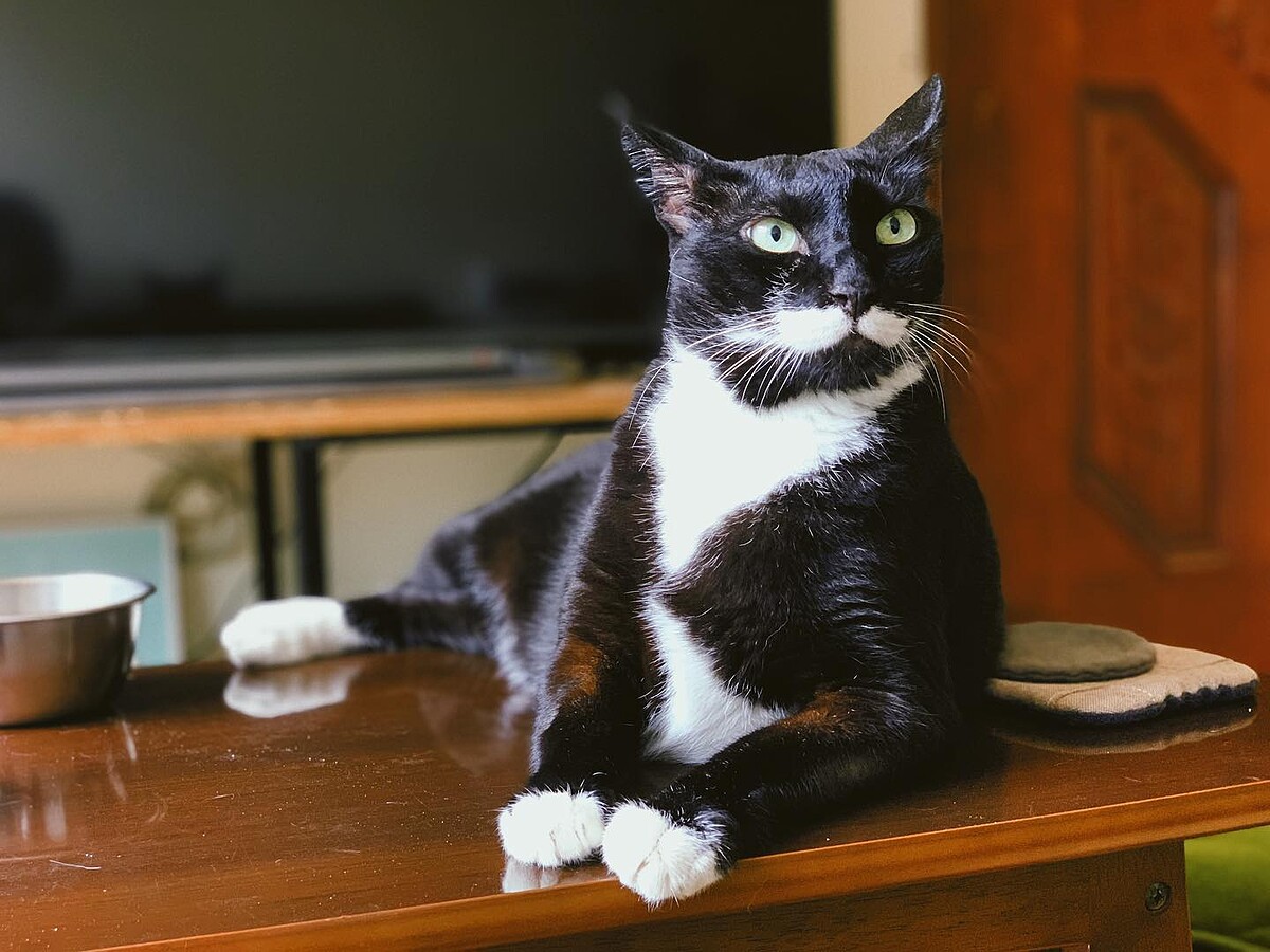 Photo/facebook.com/mustachiolapu