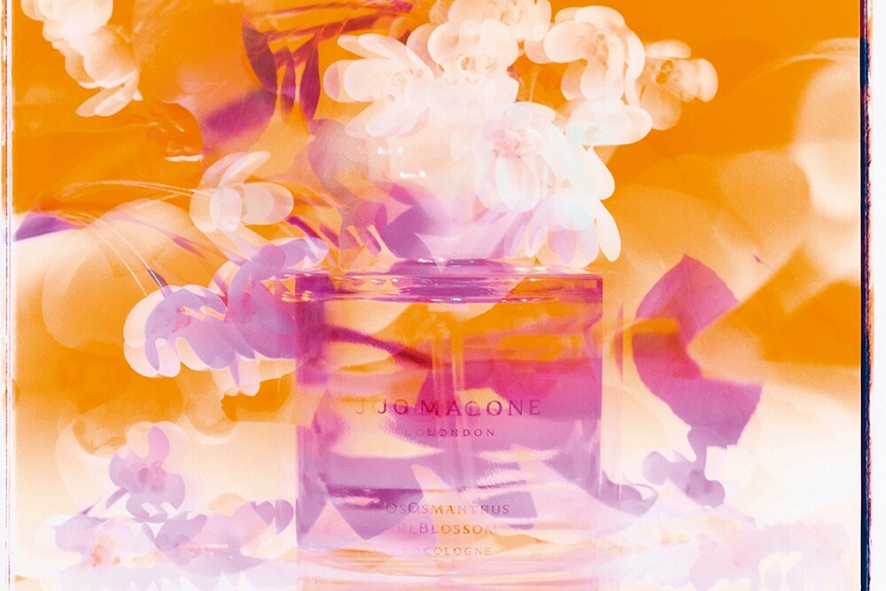 Jo Malone London 2023東方花園系列桂花香水形象圖。