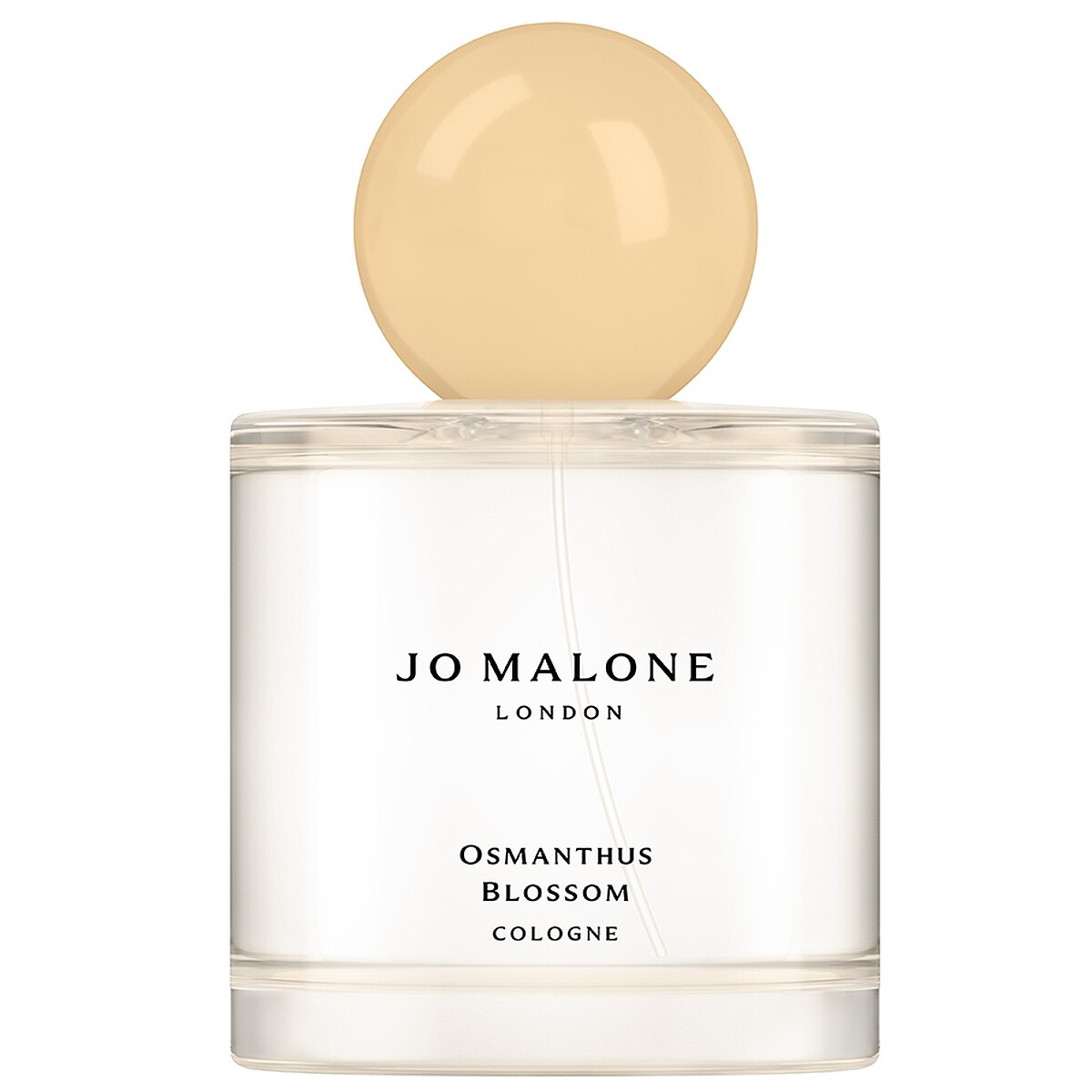Jo Malone London 2023東方花園系列桂花香水50ml，NT4,050、100ml，NT5,800