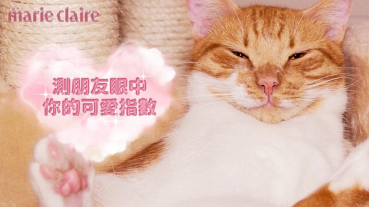 心理測驗／朋友眼中的我，機器寵物5選1，測你的可愛指數