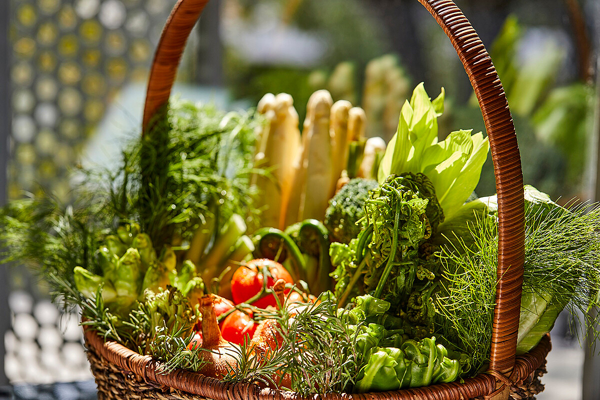 此次使用大量當季新鮮食材。