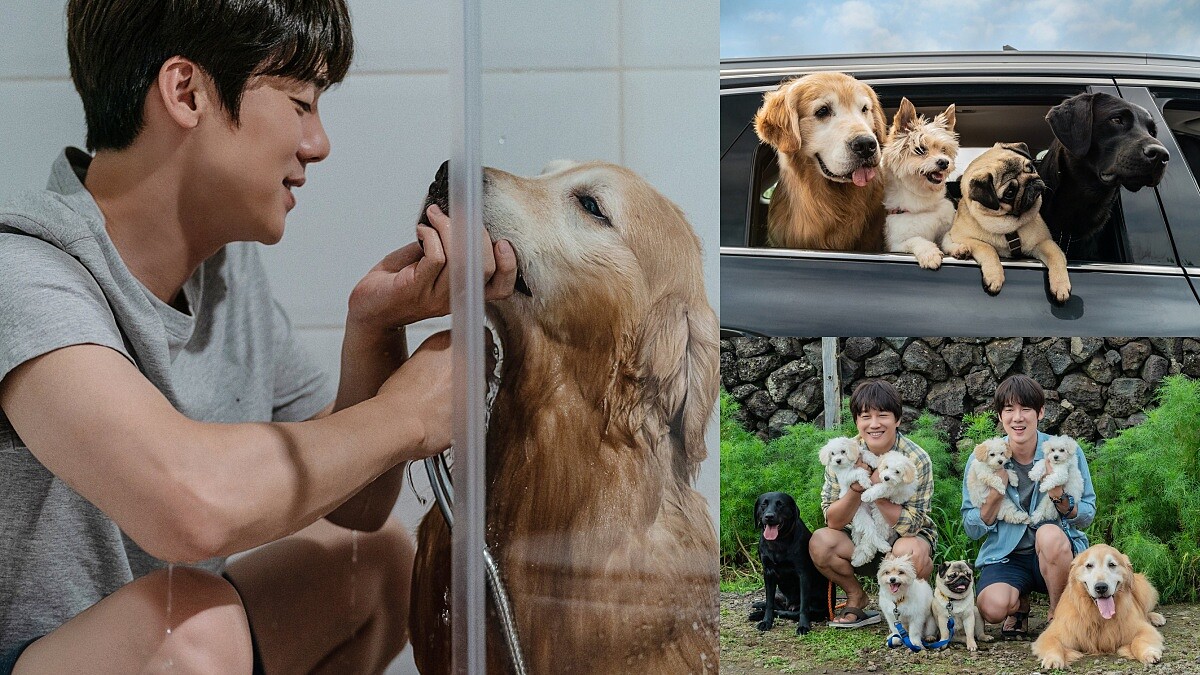 《超完美狗保姆》狗狗&amp;amp;女友二選一？發生痛苦時，一起克服的才是家人