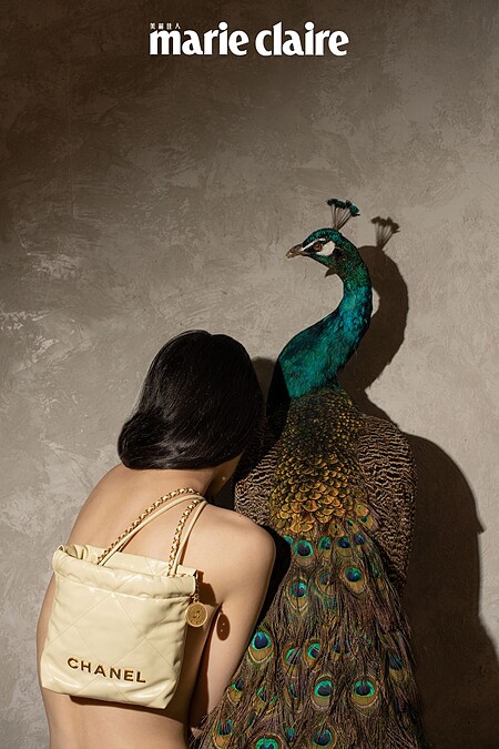  小款淺黃色 CHANEL 22 包，CHANEL。