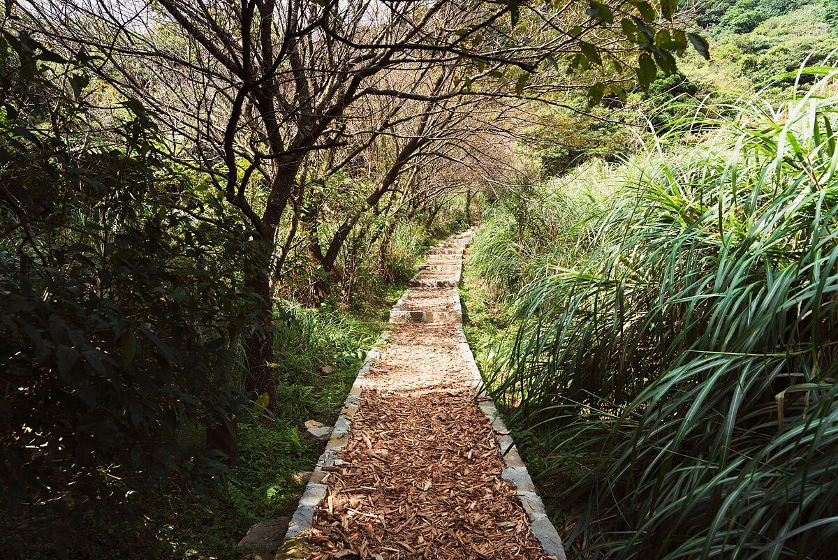 臺北大縱走第二段：水尾巴拉卡步道是一條以人為本，且兼具生態及環保的步道，值得細細品嘗。
