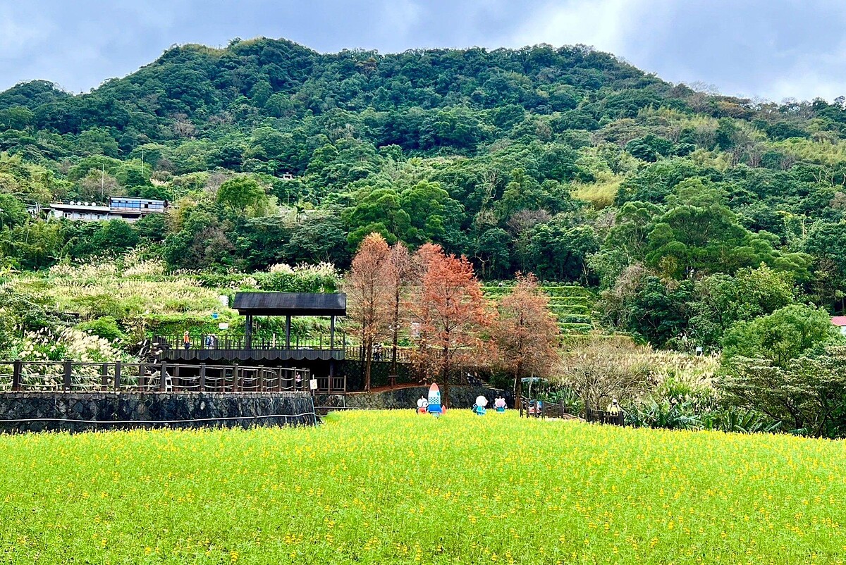 臺北大縱走第七段：樟樹步道。