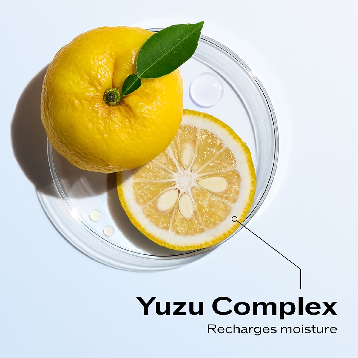 「日本四國香柚精萃」18倍維他命C，高效抗老更修護。