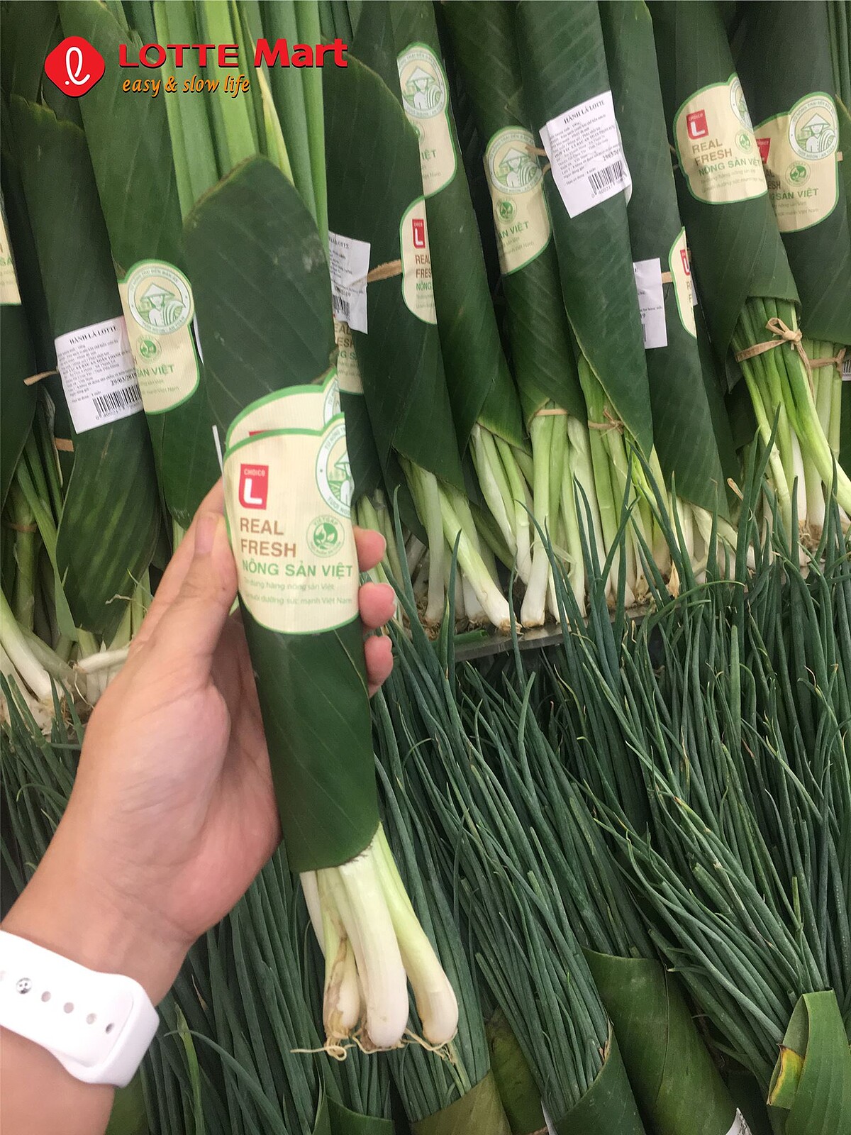 圖／翻攝自LOTTE Mart Vietnam Facebook粉絲專頁