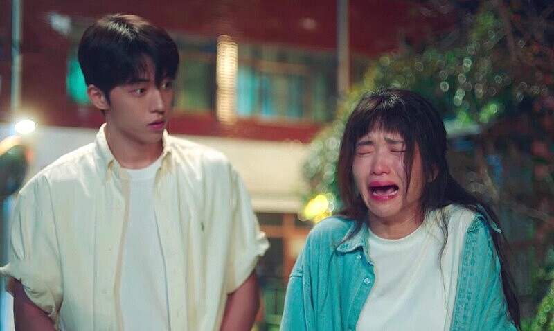 《二十五，二十一》 南柱赫與金泰梨