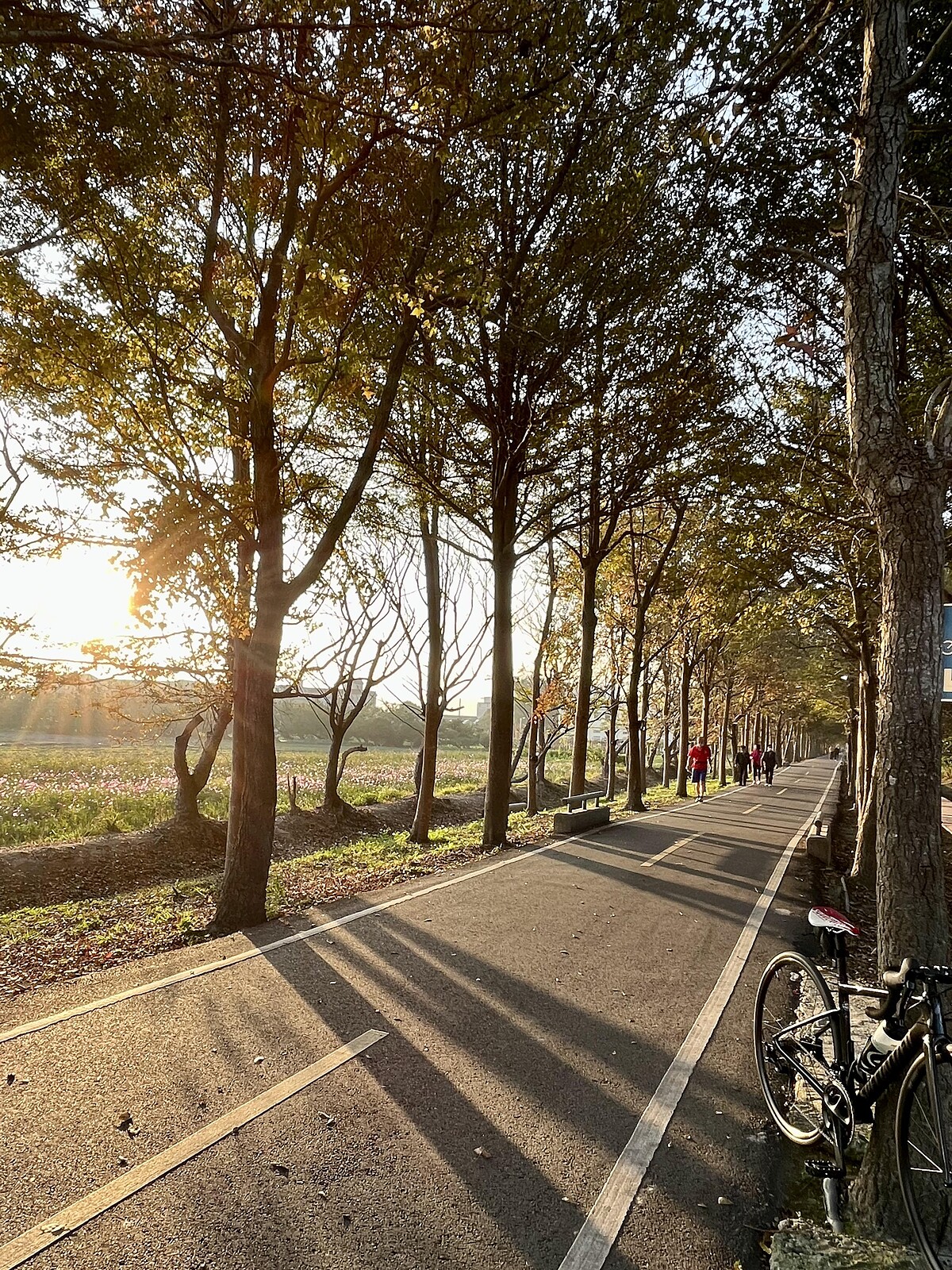 潭雅神綠園道 圖片出處:跑友NIWI提供