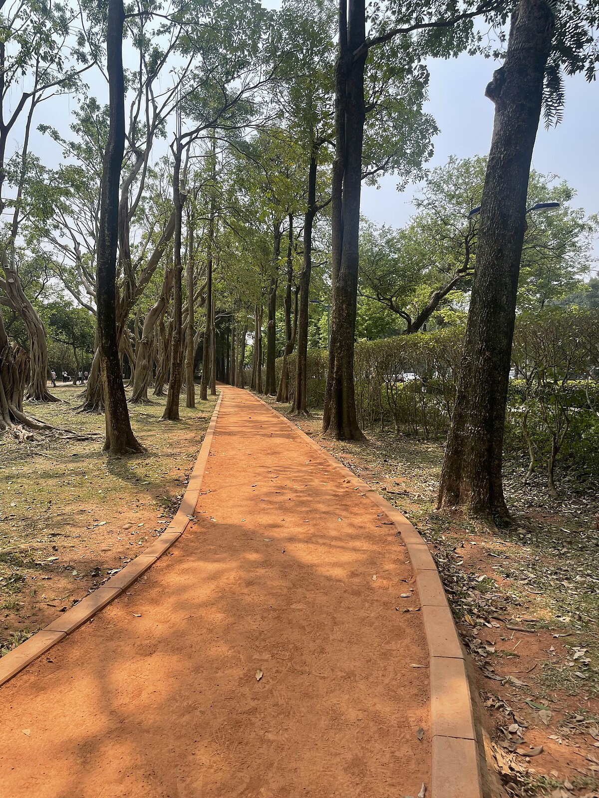 大安森林公園 圖片出處:跑友薇安Vivian提供