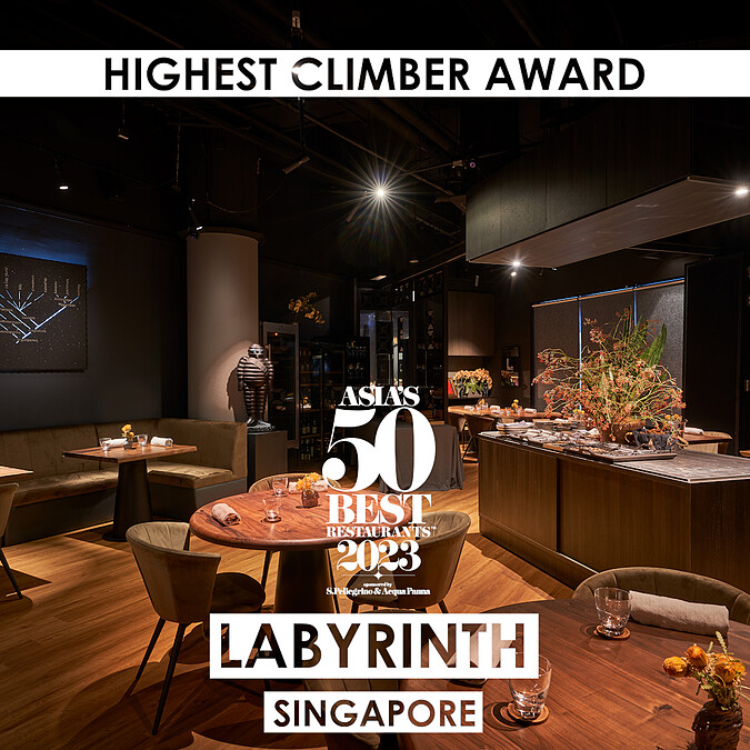  Labyrinth 贏得「最佳進步獎」（Highest Climber Award）。