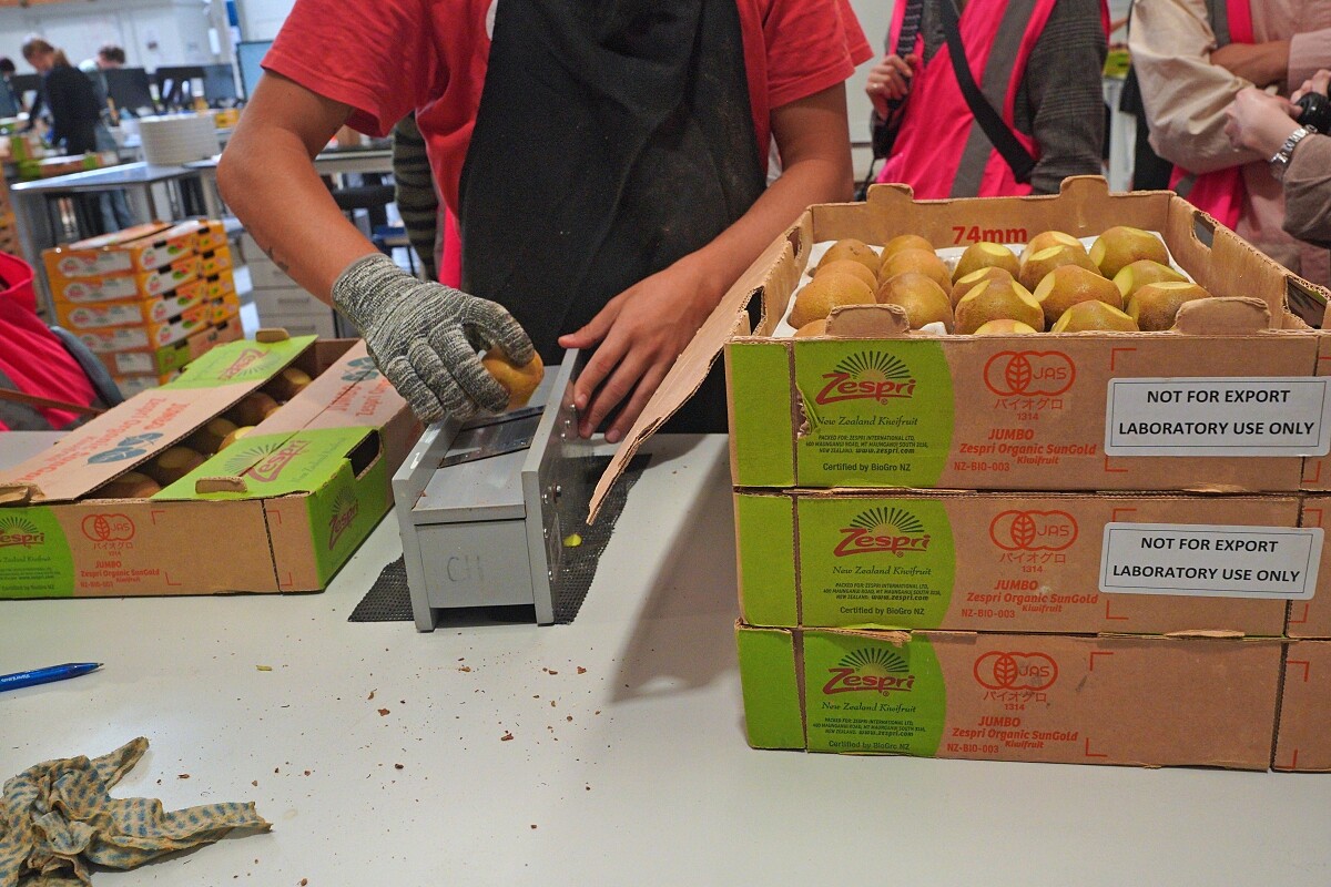 採收前要透過配合的實驗室品質抽樣。