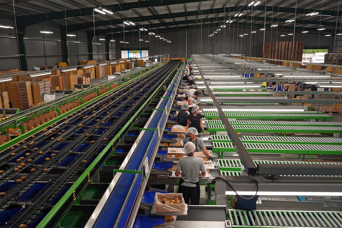 包裝保存以及運送技術也有一定的學問。