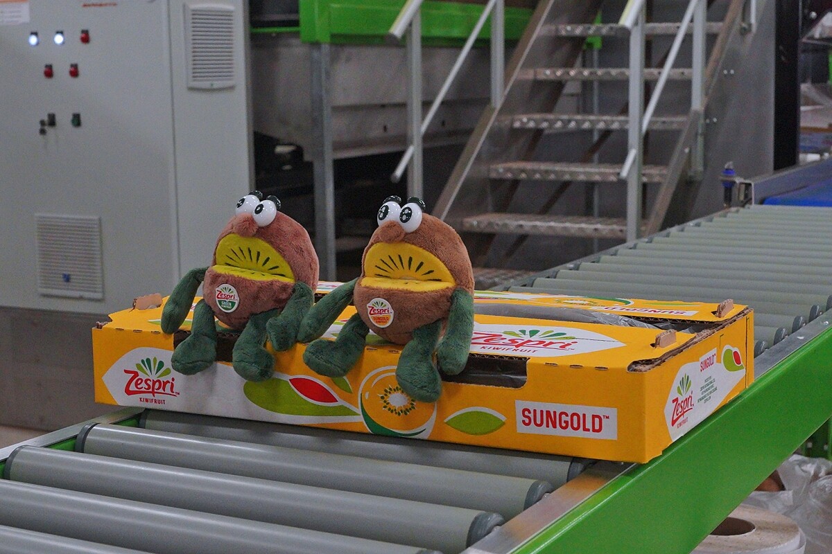 今年將會有來自日本的奇異果兄弟加入宣傳行列。