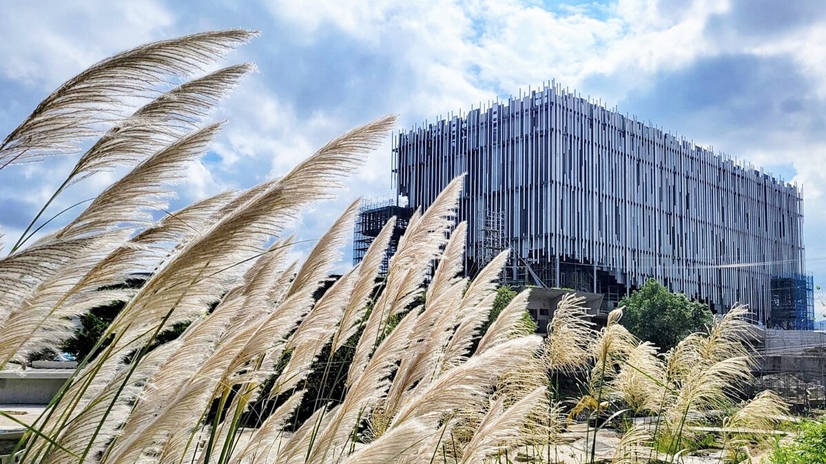 「新北市美術館」打造蘆葦叢中的純白藝術品！北台灣最新地標4/15開幕，活動、交通一次看