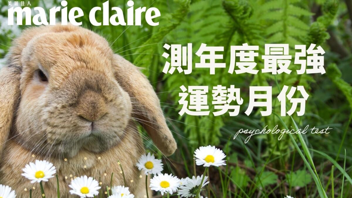 心理測驗／兔子直覺6選1，最易心想事成的強運期在何時？