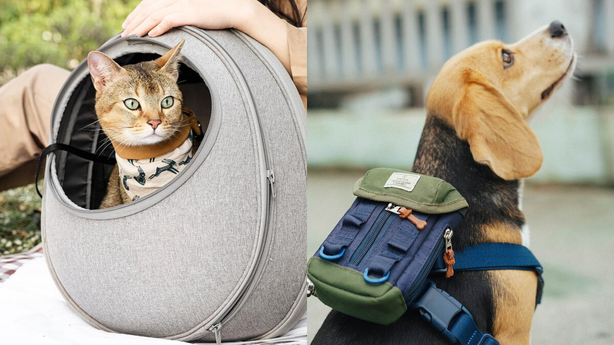 （左）護具等級貓咪行動睡窩HOUSMALL LIVING Eggy小宅包、（右）為毛孩裝扮Outdoor潮流風格！SPUTNIK拾便包。 