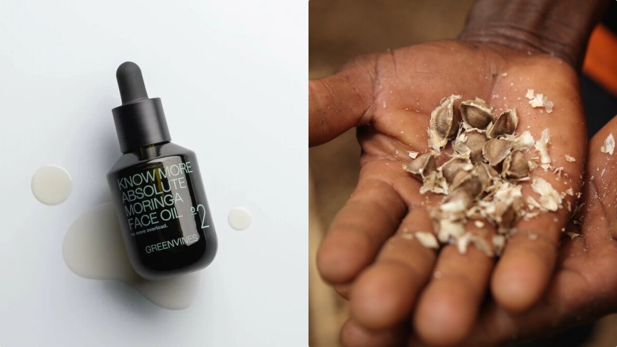 綠藤生機「奇蹟辣木油」加速深化西非永續生態圈，幫助超過7,000個迦納小農家庭提升收入。