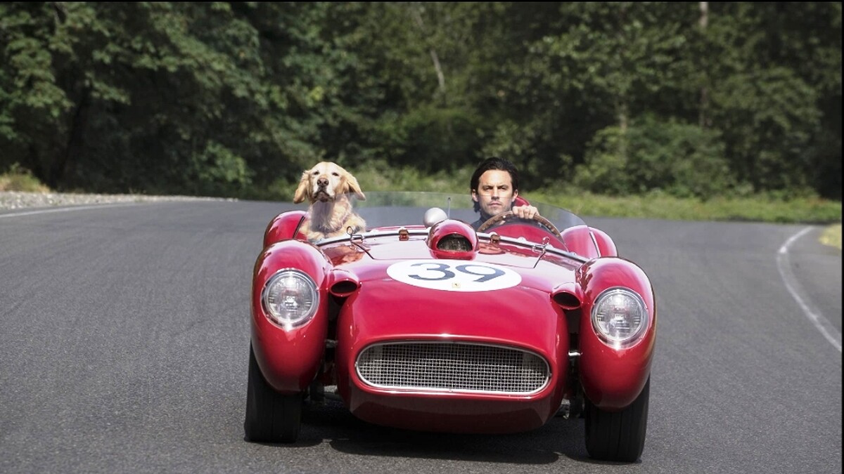 恩佐狗生最後的時刻,丹尼載著他馳騁在急速風流中,重回往日。