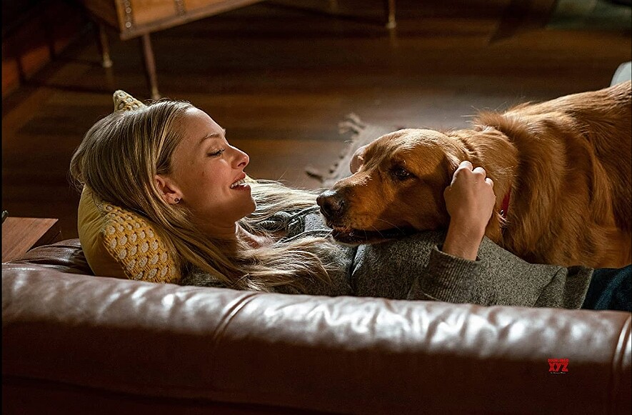 黃金獵犬陪著主人丹尼迎來妻子伊芙相識相戀婚姻,又陪伴伊芙罹癌過世。