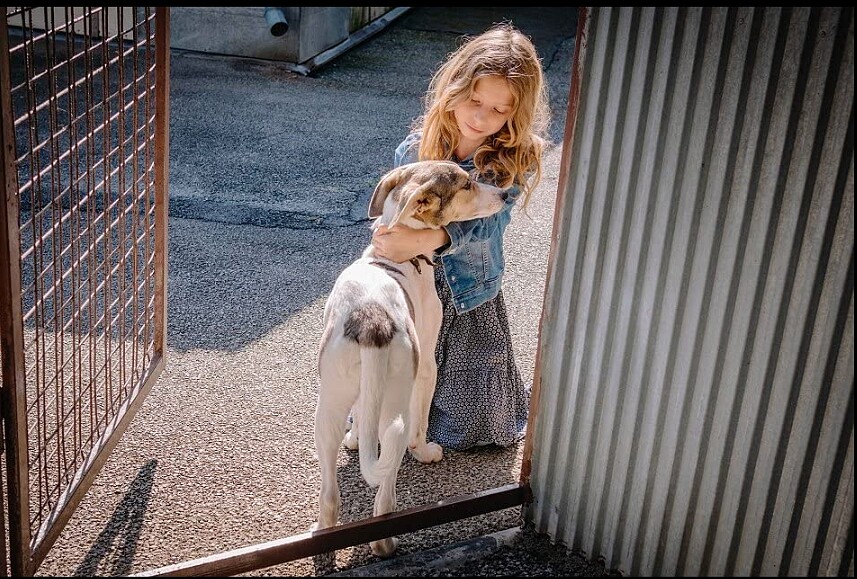 阿甘在收容所遇到了好心的小女孩義工照護,有了短暫甜美的時光。 圖說6:阿甘遇上佛烈德,互相成為對方一生摯愛,也展開了相互追尋的旅程。