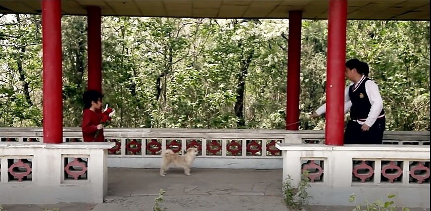 有著同樣命運牽絆,狗狗毛線頭挺身保護流浪兒小神仙不受高年級學生霸凌。