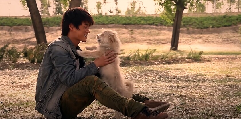 承受社會種種非善意磨難,翹家少年林小海和流浪狗毛線頭成為彼此心靈避風港,不再顯得孤單。