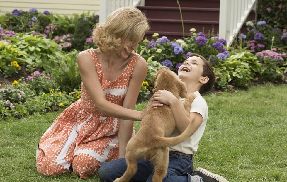 小狗貝利與小男孩伊森的快樂初遇