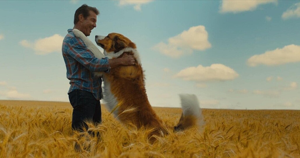 貝利與最愛伊森共度悠閒的相處時光