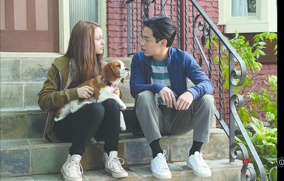 轉世後貝利信守承諾守護伊森孫女CJ