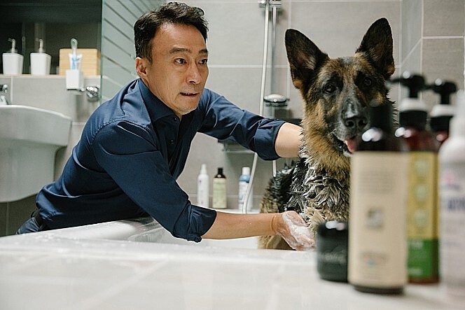 《明明會說話》李星民在劇中是狗閨蜜十分討喜