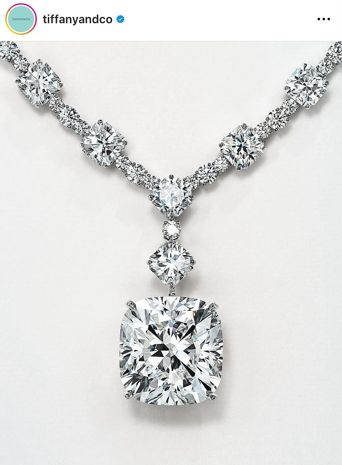 Tiffany & Co. 鑽石珠寶項鍊