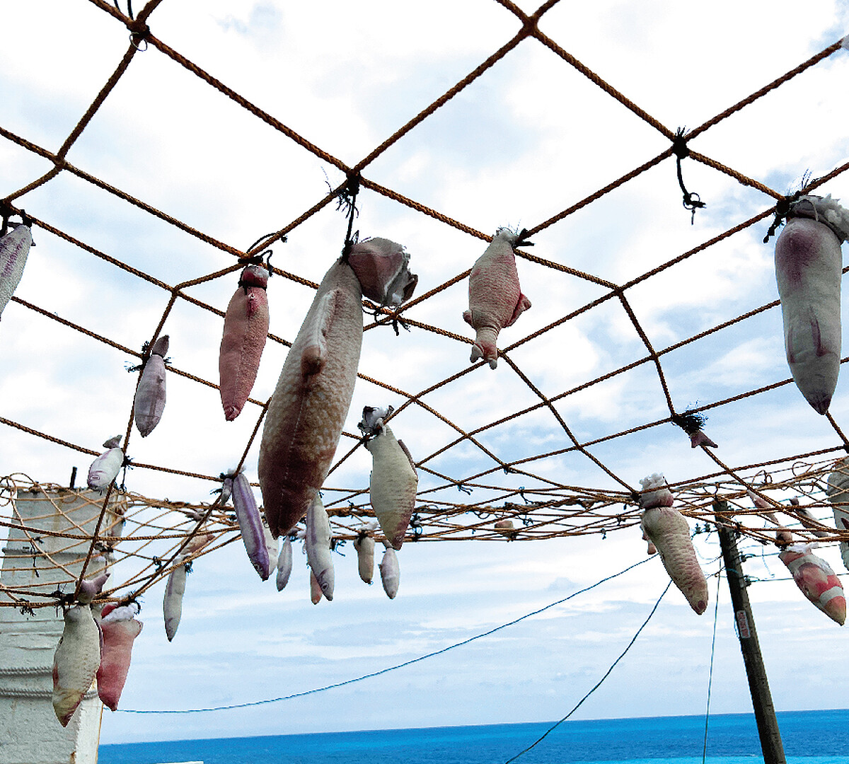 東昌定置漁場(左圖)