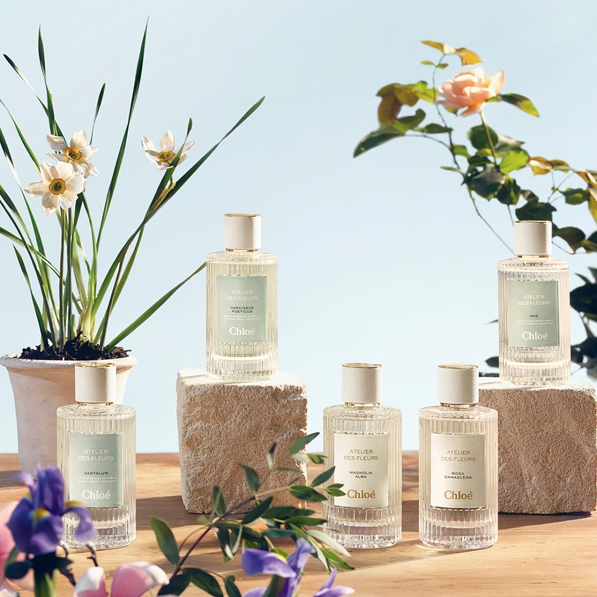 Chlo&eacute;仙境花園系列情境圖。