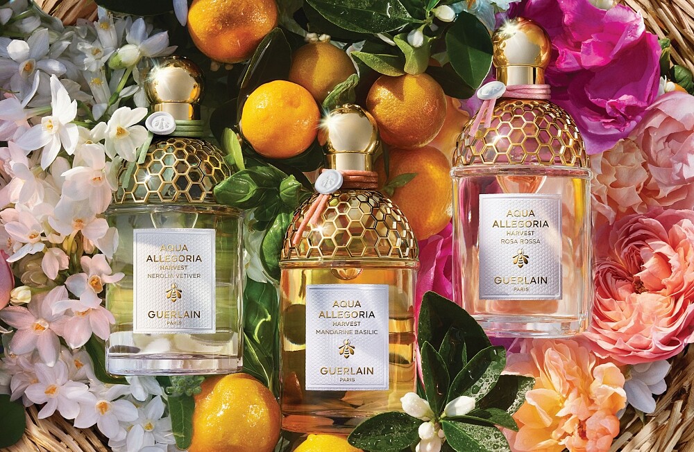 嬌蘭花草水語淡香水盛採限定版視覺圖。