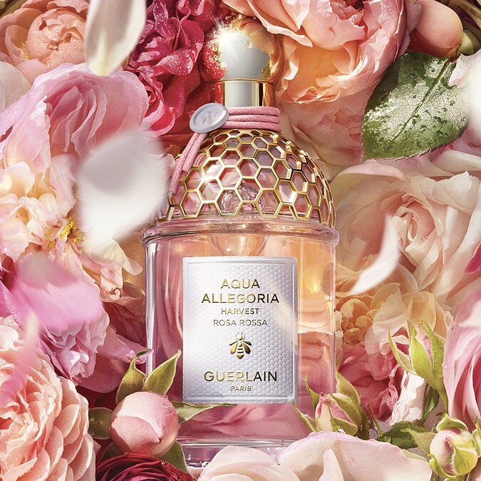 嬌蘭花草水語格拉斯玫瑰與黑醋栗淡香水盛採限定版125ml，NT6,370