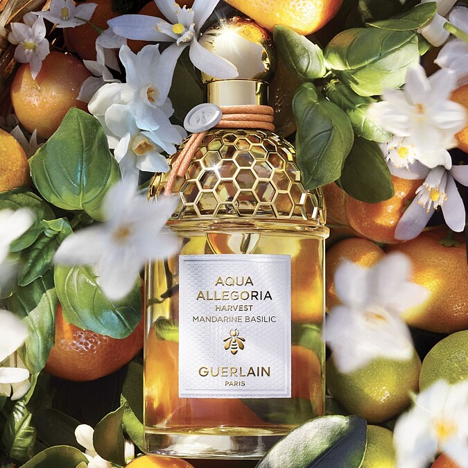 嬌蘭花草水語馬佐拉柑橘與羅勒淡香水盛採限定版125ml，NT6,370