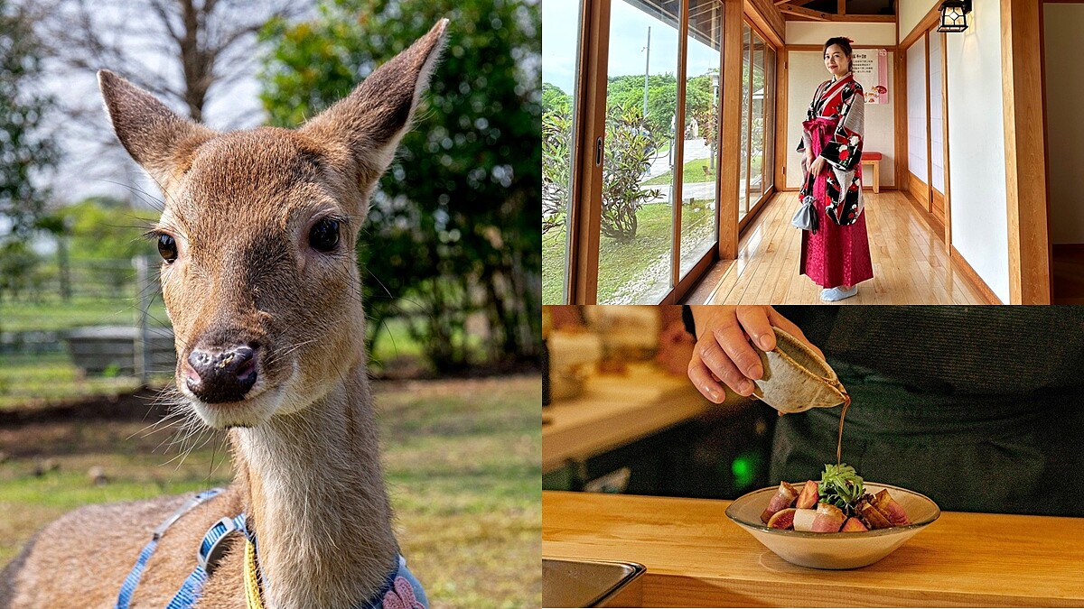 宜蘭綠舞飯店4大新亮點玩法！可愛梅花鹿報到、無菜單料理品嚐當令海鮮、穿大正時期摩登裝扮