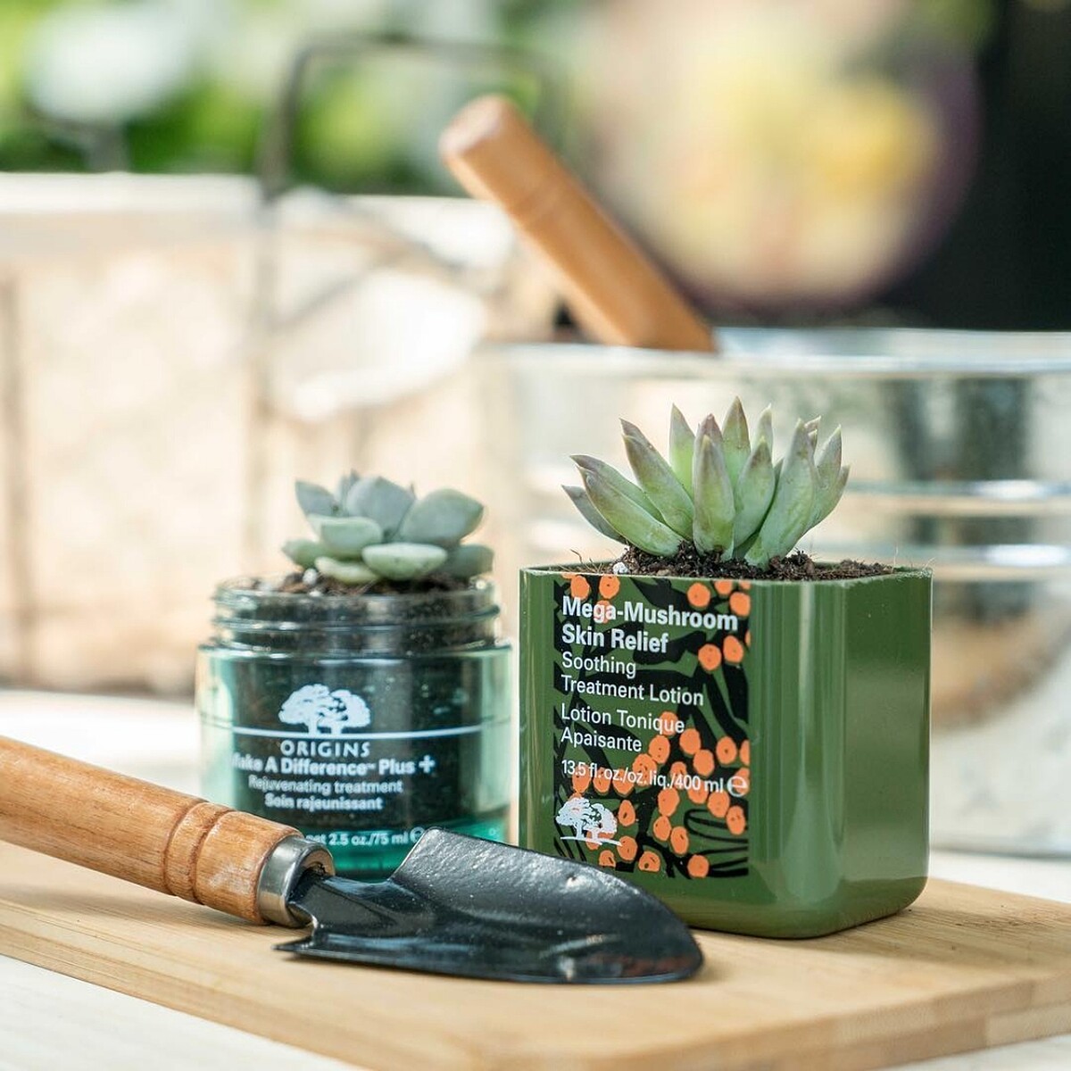 品木宣言多肉植物工作坊。