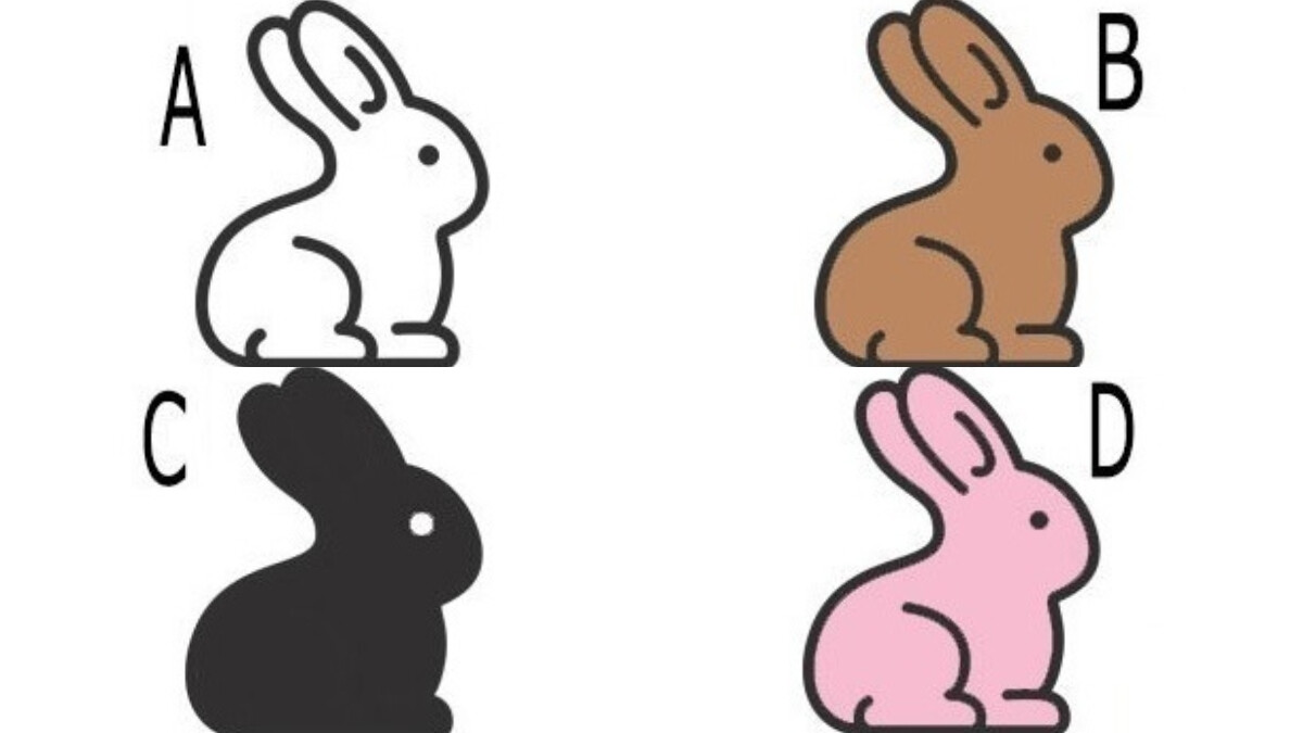 2023年最強運！兔子圖片4選1，心理測驗測出我的旺盛運勢在何方