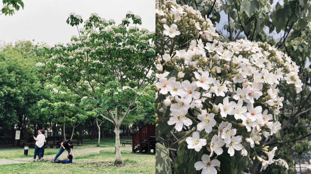 Photo／東勢客家文化園區 FB