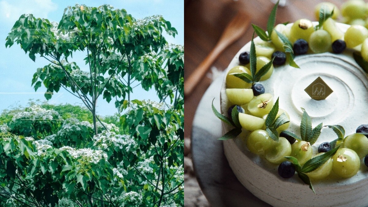 Photo／幸福山丘 FB