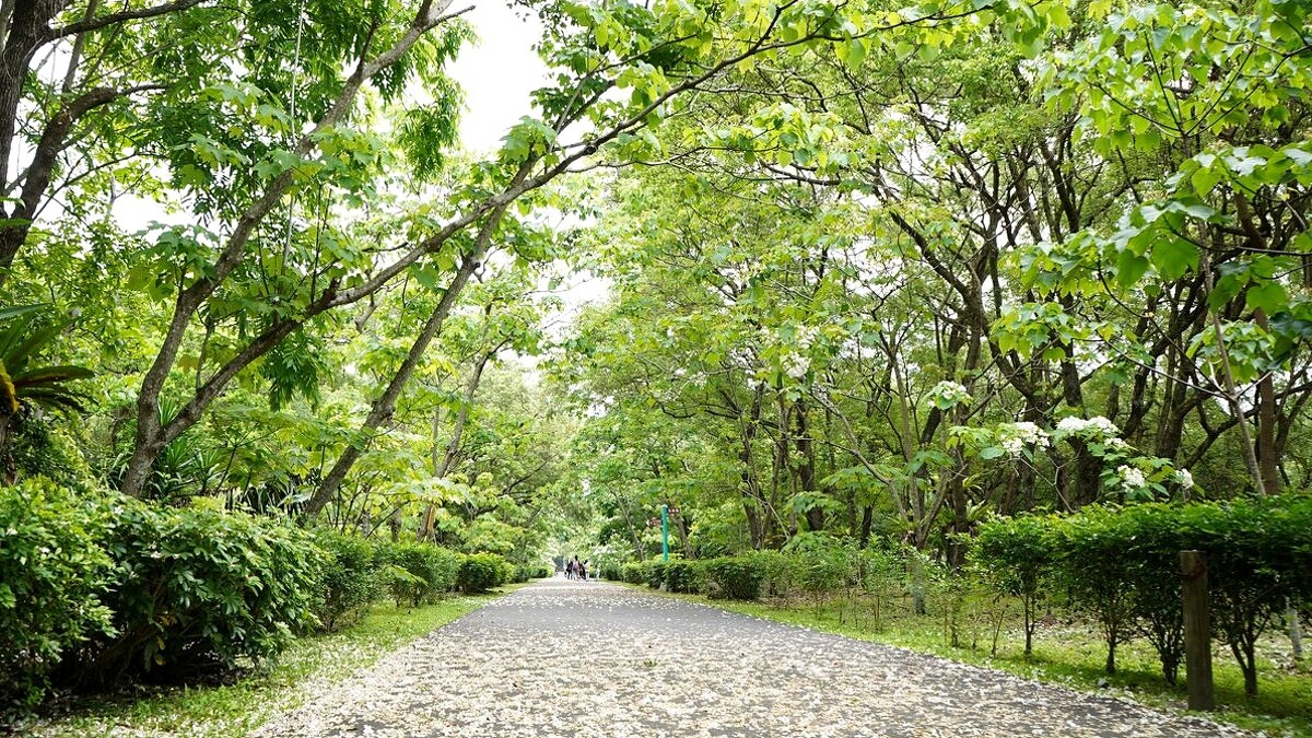 Photo／IG @vincent_chien0619 授權提供、林務局花蓮林區管理處 FB